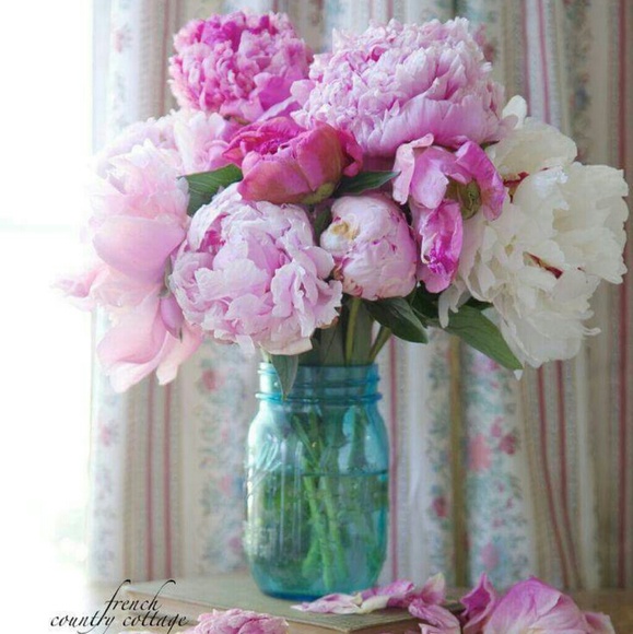 Meet your Posher, Joyce - Picture 3 of 4